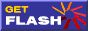 MM Flash-Player